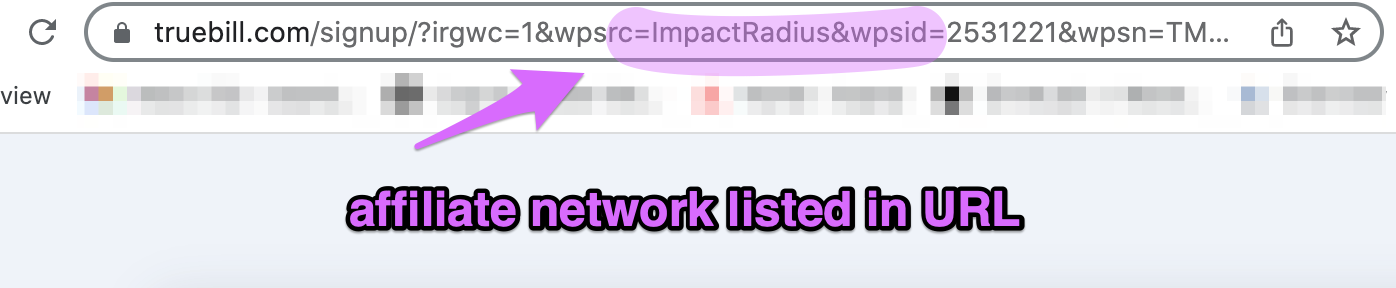 affiliate network name displaying in the url