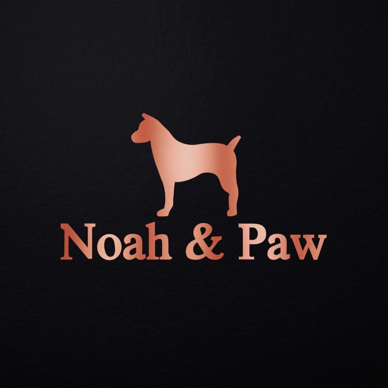 NOAH & PAW